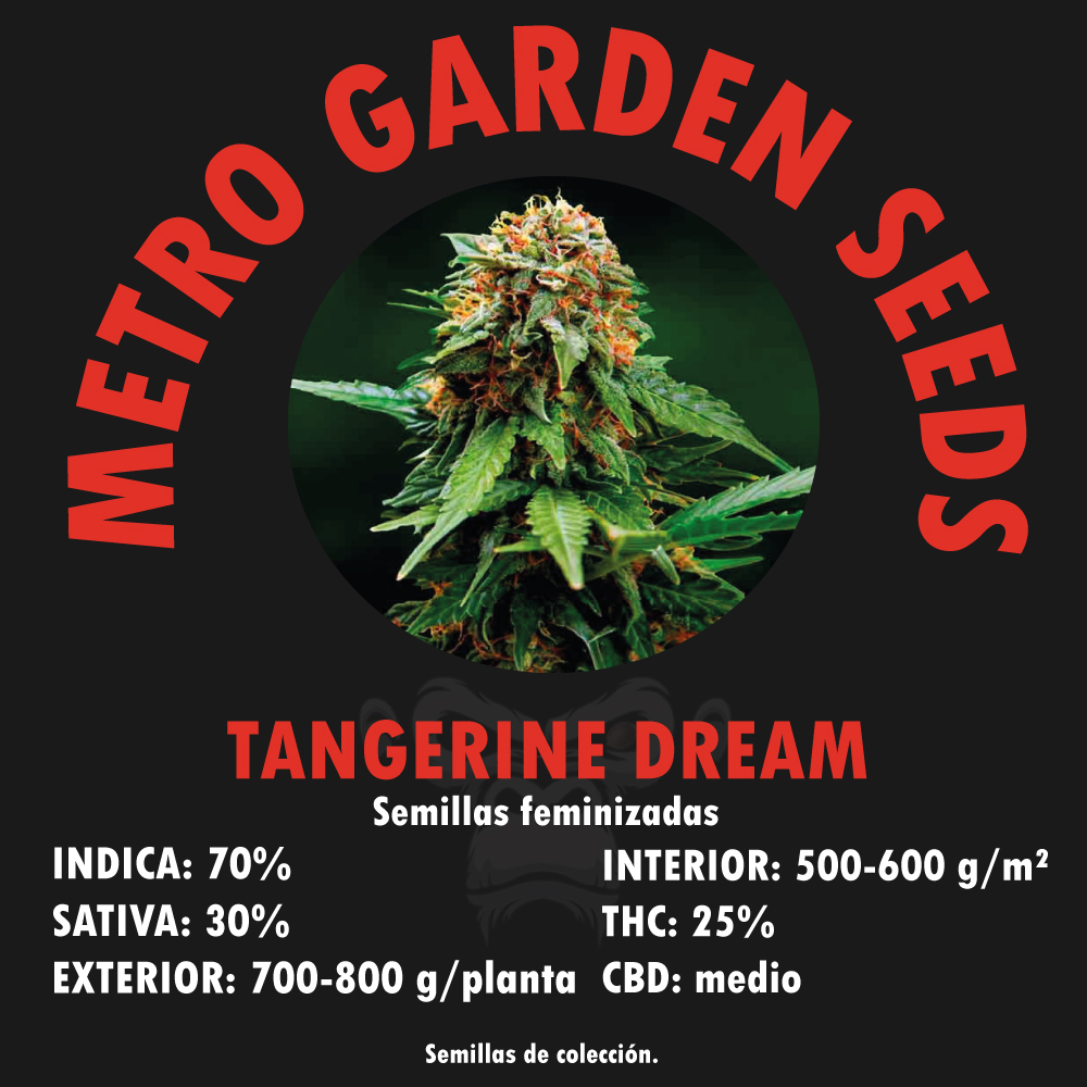 tangerine-dream-metrogardenseeds